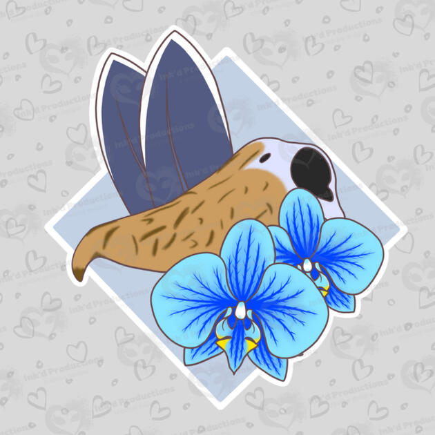 A shoebill stork skull with two shoebill stork feathers, two orchid flowers, and a light blue background