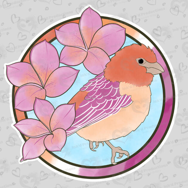 A rosefinch with a lesbian flag ring border, three garden phlox flowers, and a light blue background